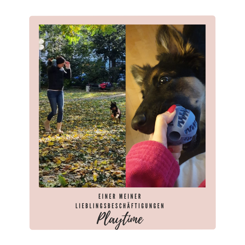 Lieblingsbeschäftigung Hund