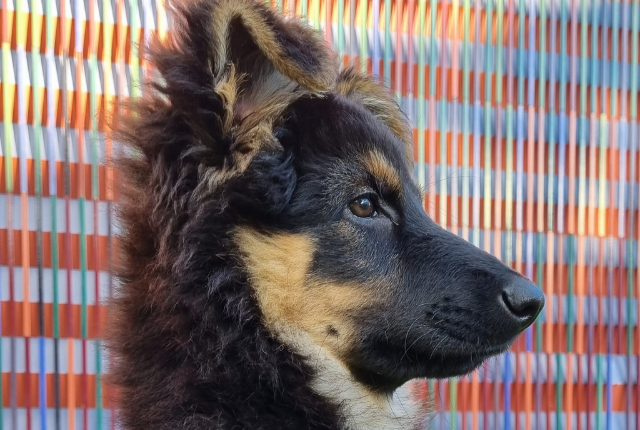 XAVER – das neue Familienmitglied